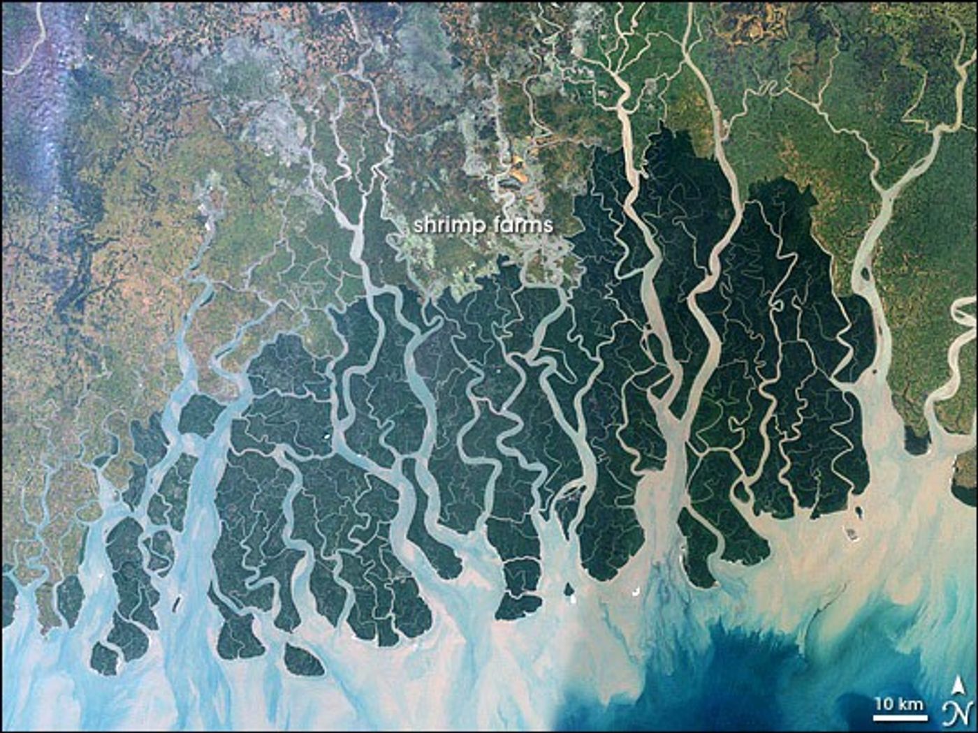 Sundarbans mangrove forest and delta channels, Landsat 7, 2000