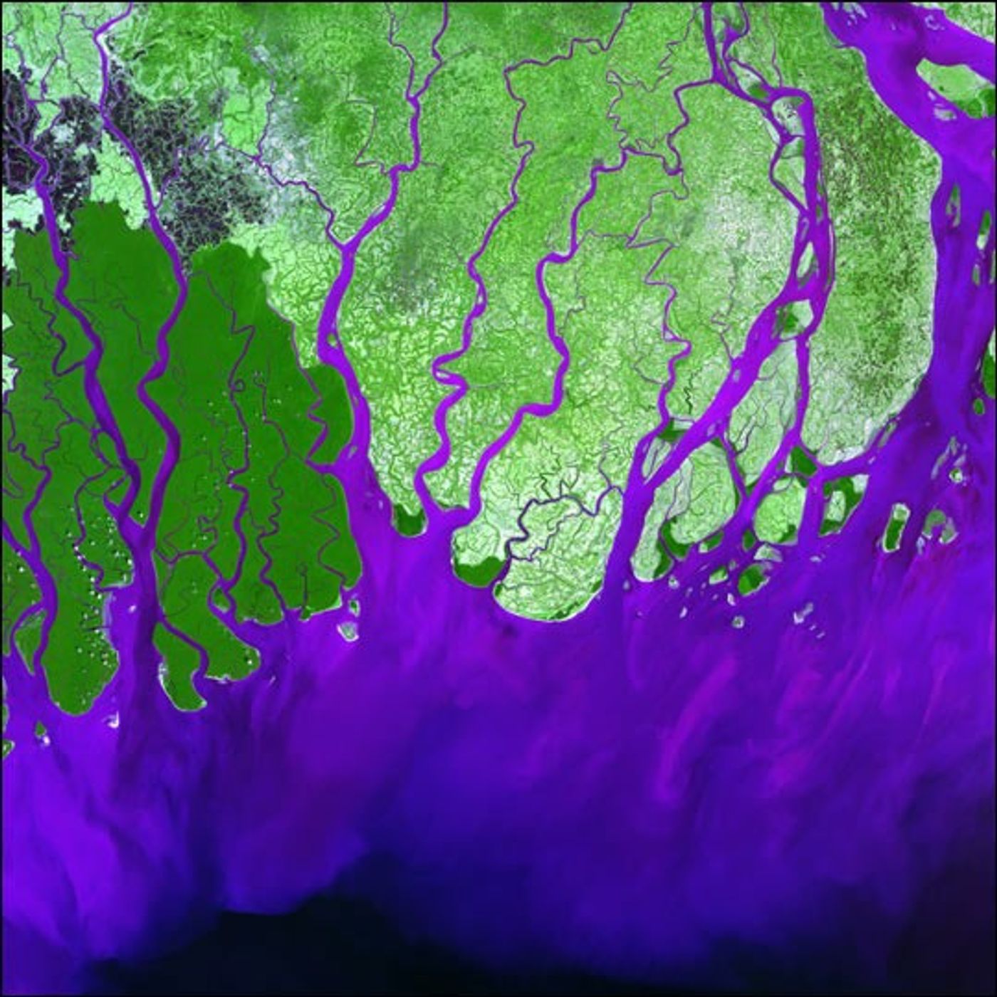 Ganges delta and the Sundarbans in false colour, Landsat 7, 2000
